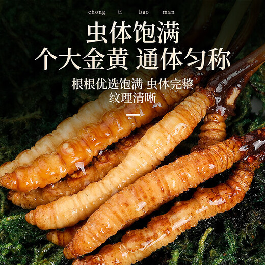 
Fudonghai Cordyceps gift box [Excellent quality whole piece] Select high-altitude freeze-dried high-clean and unbroken grass to give gifts. 10 fresh Cordyceps (freshly harvested and cold chain shipped)
