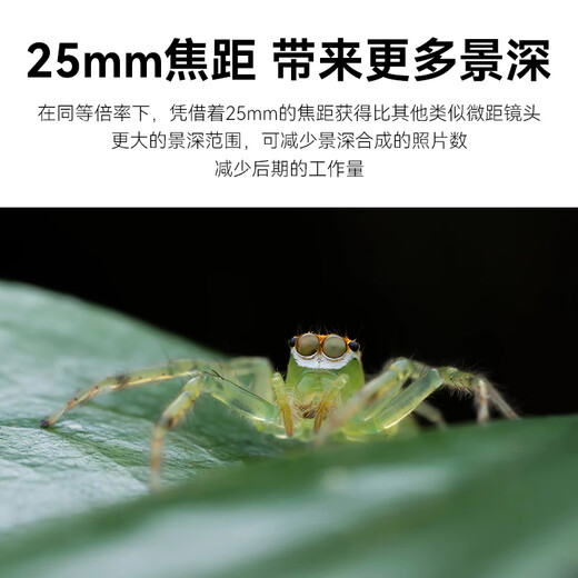 Rock Star 25mm F2.8 MACRO Macro 2-5x Camera Macro Lens Sony E-Mount (Full Frame)