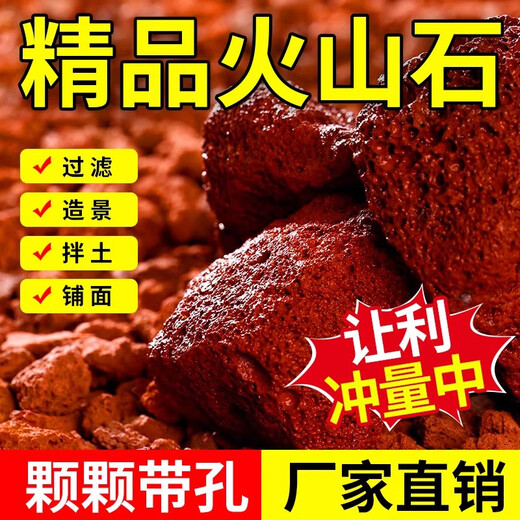 Volcanic stone granular filter material ancient fish tank landscaping bottom sand decoration turtle natural water grass mud succulent base soil special grade finely screened volcanic stone 10-20 cm 19-20 Jin Jin equals 0.5 kg