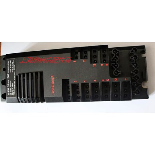 Dongsi burner manager V3.11MPA20.02 S02 Weisuo burner program controller dedicated W-FM20