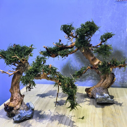 Finished fish tank landscaping Moss tree to welcome guests, pine tree-shaped Brazilian tree, deadwood, negative aquatic plants, novice package, must read before purchasing