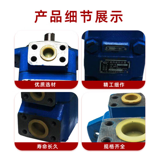 Guangye hydraulic vane pump YBE-80/100/125/160/200 hydraulic pump assembly accessories small hydraulic pump Hongyi YBE-10 (Xianju Yongling)