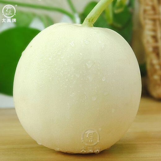 Dayu White Sand Honey Melon Seed Seedlings Authentic Cantaloupe Seeds Old Varieties Sui Melon Milky No. 1 White Skin Melon Seeds 40 capsules
