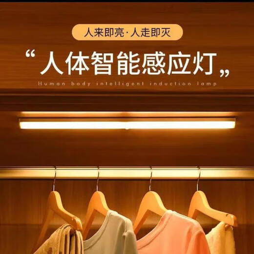 枫岚情 FENGLANQled体感应灯条磁吸灯橱柜灯衣柜酒柜鞋柜usb感应小夜灯长条充电 100mm暖光 白光/暖光