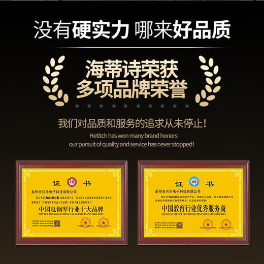 Hettich electric piano 88-key heavy hammer electronic piano for children, beginners, kindergarten teachers, professional adult home digital upright piano P-313 painted black - Bluetooth - full hammer - with piano stool