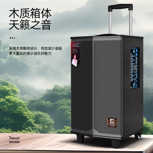 MALONE Outdoor Square Dance Portable Trolley Speaker with Wireless Bluetooth Microphone Live Broadcast Karaoke Guitar Playing and Singing Speaker K-408 Inch Standard Configuration + 2 Original Microphones + Gift Pack Ultimate Edition