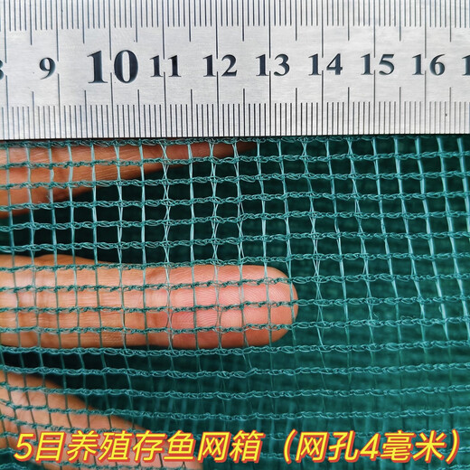 Fish farming cages, fish storage cages, bullfrog and eel fry cages, thickened cages, custom-made fishing nets, aquaculture cages, 10 mesh (3mm mesh) stamped version, 1.5 meters long - 1 meter wide - 1 meter high