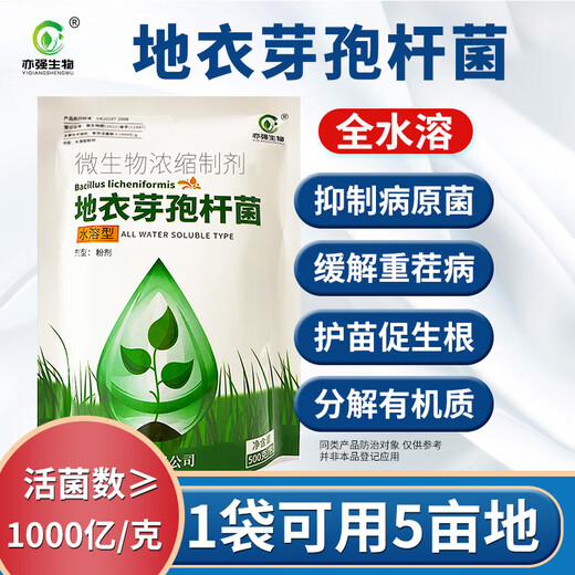 亦强生物（YIQIANGSHENGWU）水溶型地衣芽孢杆菌改良土壤降低作物危害促进作物生长500克/包 500克/包