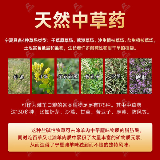 Tan Sheep Fresh Ningxia Tan Lamb Fresh and Cooked Haggis 4Jin Jin equals 0.5kg Fresh Mixed Sheep Tripe and Sheep Head Hot Pot Ingredients Halal