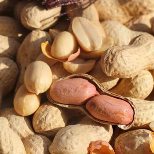 唯爱佳花生多味花生蒜香卤味花生2.5kg袋休闲零食坚果炒货解馋零 2.5kg 袋*2