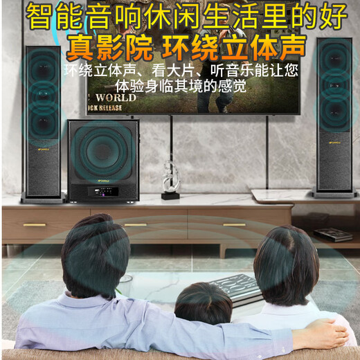 SANSUI 60C Home Bluetooth Audio Home Surround Theater TV Subwoofer K-Song Set Living Room Impact Singing Multimedia Desktop Computer Speaker 60C Upgraded and Heightened Version