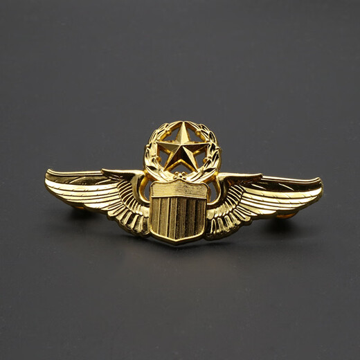 Tongrubi U.S. Army Flight Badge Commemorative Medal Metal Badge U.S. Navy Air Force Army Aviation Military Fan 07-Lu (Simple Cover)