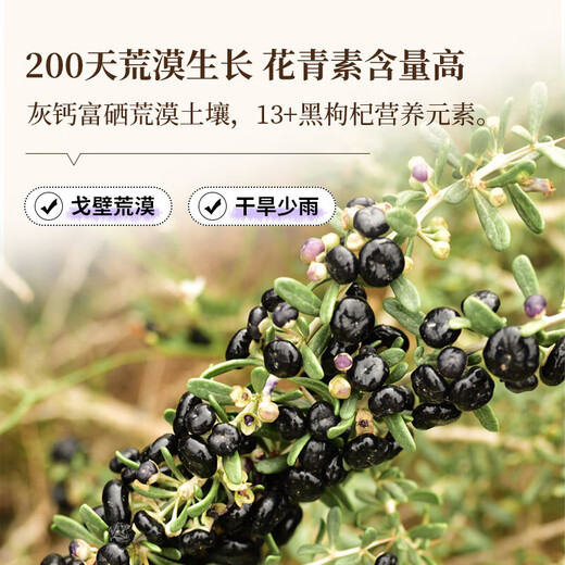 Tongrentang (TRT) Boîte-cadeau Black Wolfberry Qinghai Qaidam Big Fruit trempé dans l'eau et le thé Tonics pour les cadeaux du festival pour les anciens 70g * 2
