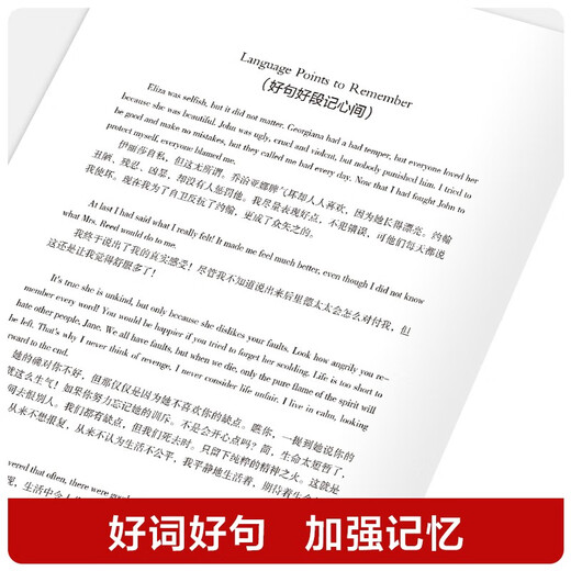 [英汉对照] 简爱 读名著学英语 中英文对照阅读世界经典名著阅读中英文双语版英文版名著世界经典文学名著阅读畅销小说中英双语读物外国名著世界名著阅读