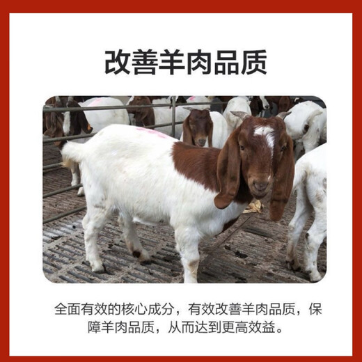 5% mutton sheep premix, Dabeinong core technology, rapid fattening, weight gain, skeleton nutrition, comprehensive authenticity guarantee, 1 pack, 50 Jin Jin is equal to 0.5 kg