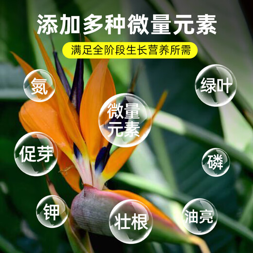 天堂鸟专用土营养土养花专用通用土壤绿植泥土种植土盆栽专用肥料 天堂鸟专用土20斤