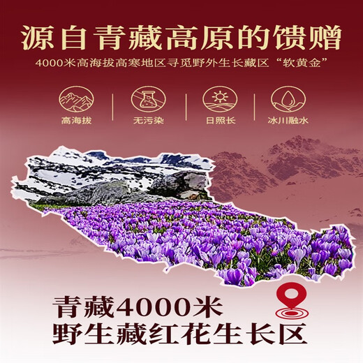 原料【精选】藏红花礼盒年货西洋参黑枸杞过年送礼佳品拜年礼物 藏红花3g礼盒装送长辈