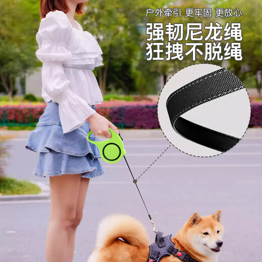 Zigman dog leash 3 meters automatic traction rope + collar small and medium-sized dog walking rope 2-piece set Teddy Golden Retriever dog chain