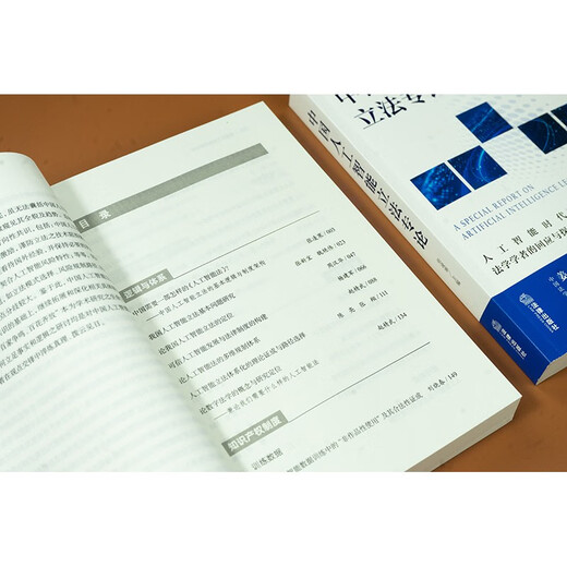 Монография о законодательстве Китая в области искусственного интеллекта