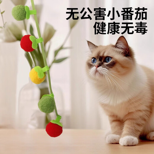 Xincong Tomato Funny Stick, Bite-Resistant Cat Toy, Self-Happiness and Boredom Relief Artifact with Bell, Cat Mint Toy, Cat Supplies, 1 String of 6 Small Tomatoes, Built-in Bell + Cat Mint