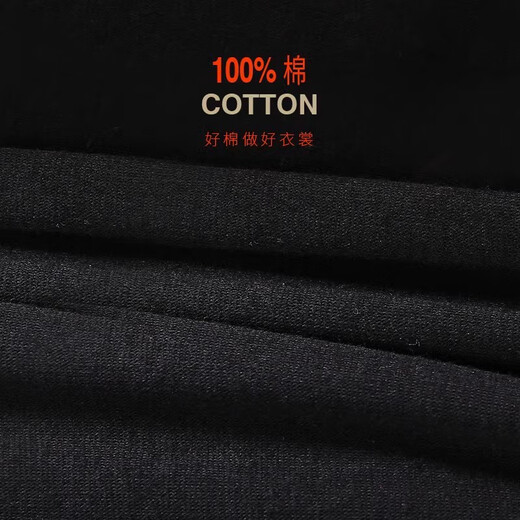 浪莎（LangSha）新疆纯棉薄款秋衣秋裤男保暖内衣套装男士打底衫防寒保暖打底 深灰色 L (170/95)