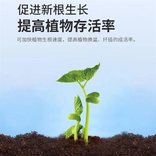 Special soil for Clivia, organic flower soil for growing flowers, Clivia nutritious soil for growing flowers, general planting soil, breathable fertilizer, Clivia carefully selected special soil 9.5 Jin Jin is equal to 0.5 kg