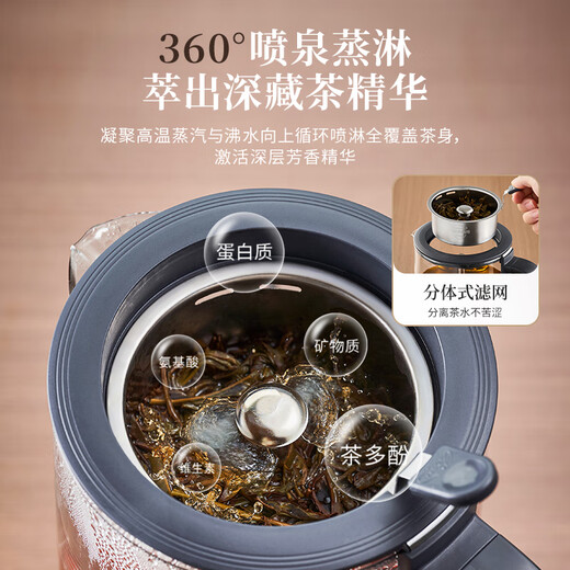 Bear health pot 1.2L large capacity tea kettle 316L stainless steel spray steaming tea kettle tea kettle tea boiling water all in one ZCQ-D12Z5