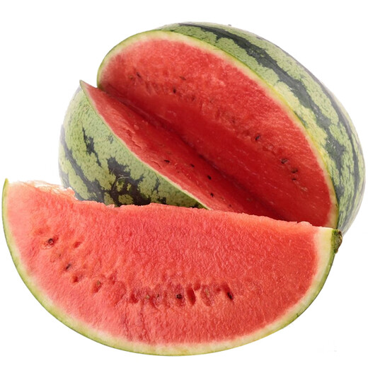 Xiangbin 8424 Kirin seedless Meidu watermelon seeds, fruit melon seedlings, small southern vegetable seedlings, rock sugar Kirin watermelon seeds 50 original seeds
