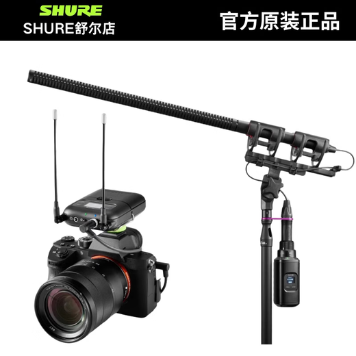 SHURE/Shure SLXD25/BETA58A Portable Wireless Handheld Microphone Performance Speech Live Conference Interview SLXD25/SM58 Dynamic Cardioid