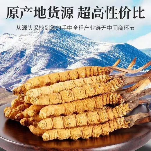 Cordyceps sinensis, los cordyceps de gran altitud en las áreas tibetanas son asequibles para el uso de autoego, regalos navideños, cajas de regalo, 3 palos/gramos (50 palos de regalo)