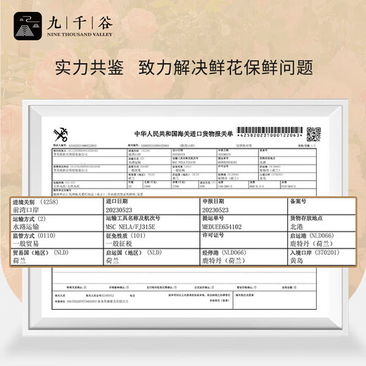 Jiuqiangu Vaselife flower preservative fresh cut flower nutrient solution universal Dutch imported preservative 250ml2690