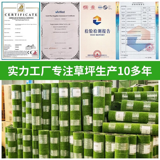 Elegant artificial lawn outdoor artificial floor mat balcony kindergarten colorful outdoor fake lawn decoration fake turf upgraded model (2m*3m) 3cm special thick anti-aging durable ten years / formaldehyde-free