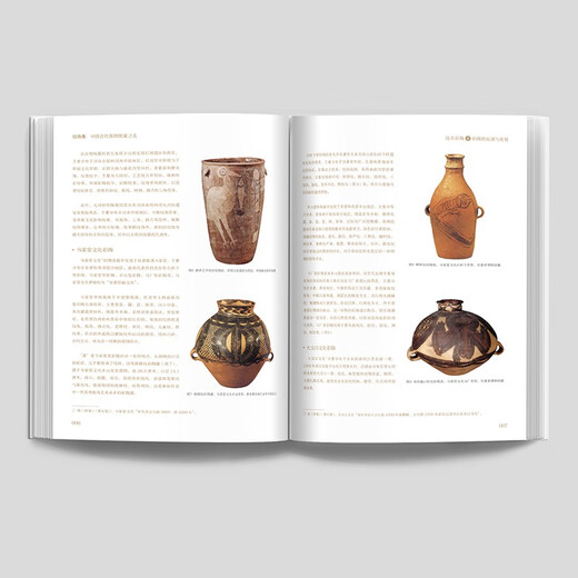 纹饰集：中国古代器物图案之美 中国经典器物纹样 古代器物纹饰溯源图典 彩陶青铜器瓷器等300余件珍贵文物 1300余幅纹饰复原线稿
