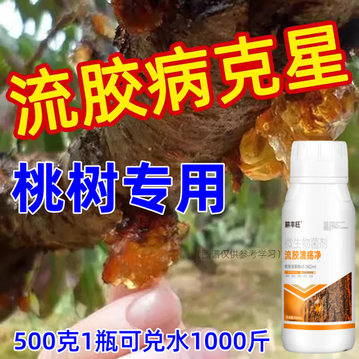 Gengfengwang peach tree gum disease special medicine peach tree gum disease one spray to clean peach tree scab disease perforation canker peach tree gum disease medicine 500ml (can be mixed with 1000Jin Jin equal to 0.5 kg of water)