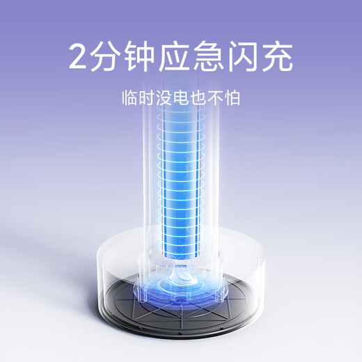 Mijia Xiaomi Electric Toothbrush T302 Adult/Student 4 Teeth Cleaning Modes 150 Days Battery Life 4 Brush Heads Frost Purple for Boyfriend/Girlfriend Birthday Gift