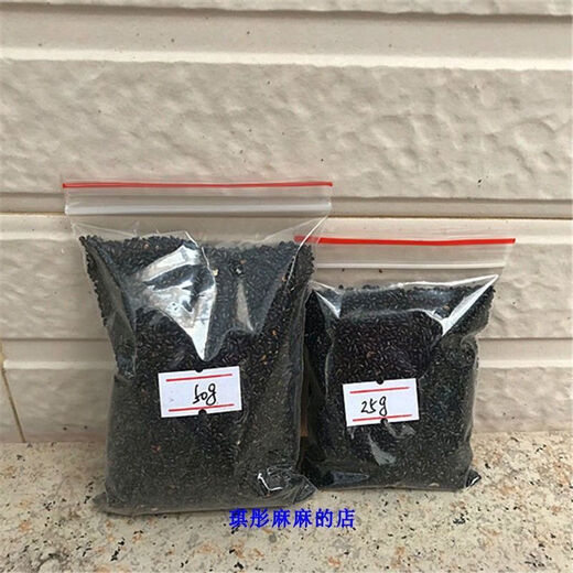 Red-skinned dragon fruit, beautiful fruit seeds, white dragon fruit seeds, green dragon fruit, red dragon fruit seeds, potted bonsai seeds, red-skinned, red-fleshed dragon fruit seeds 2000 capsules