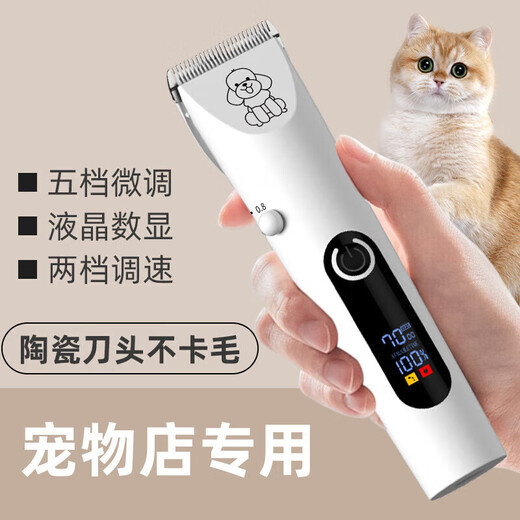 Pet shaver for trimming dogs and cats, electric hair clipper for dogs and cats, golden retriever Teddy pet hair clipper, luxury set (suitable for small and medium-sized pets)