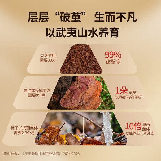 总统北京同仁堂破壁灵芝孢子粉胶囊120粒武夷山原产送长辈价保双十一