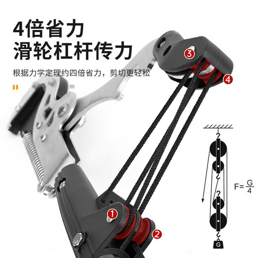 EVANLEY German high-altitude branch pruning scissors, high-branch shears, labor-saving telescopic special extension pole, fruit tree high-altitude saw artifact, 5-meter telescopic high-branch shears, guillotine type + folding saw