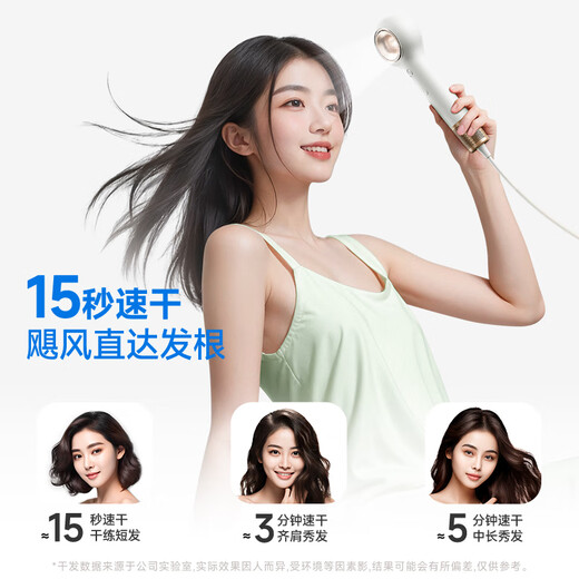 VTT Germany high-speed hair dryer household mute negative ions high power does not hurt the power generation hair dryer students hair drying quick dry leafless hair dryer girlfriend birthday gift Diamond White Pro Mini