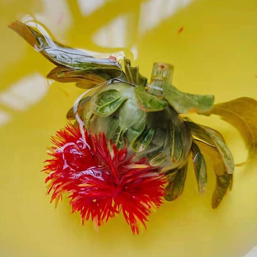 北京同仁堂原料精选西藏红花果中药材红花头番整朵红花泡水泡酒 [精选]红花果250g