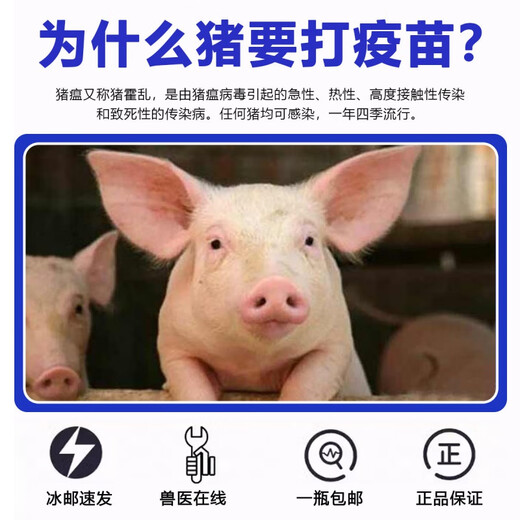 China Animal Husbandry Co., Ltd. CAHIC Shandong Zhongmu Swine Fever Live Vaccine Cell-derived Pig Vaccine Swine Fever Live Vaccine Cell-derived High-efficiency Swine Fever Vaccine Zhongmu (High-efficiency Swine Fever 1 Bottle) 20 Heads