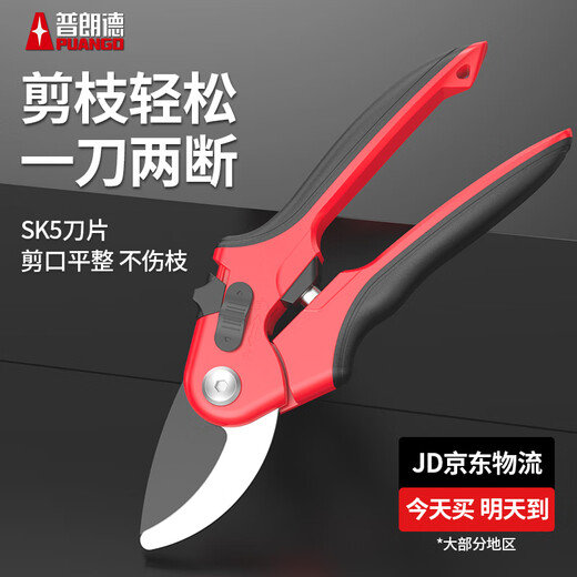 Prund pruning scissors, fruit tree scissors, gardening scissors, potting scissors, flower tools, garden green plant scissors, floral manual scissors, 8-inch SK5 steel pruning shears, non-slip handle