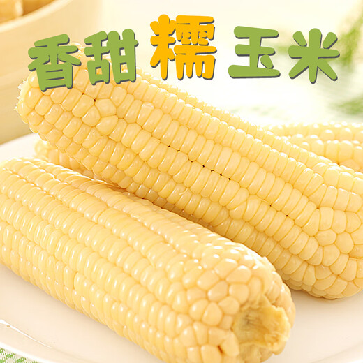 Beijing Fresh Northeast White Waxy Corn 250g*10 Cobs Fresh Sweet Waxy Corn Cobs Vacuum Packaging Sticky Corn Straight from the Source