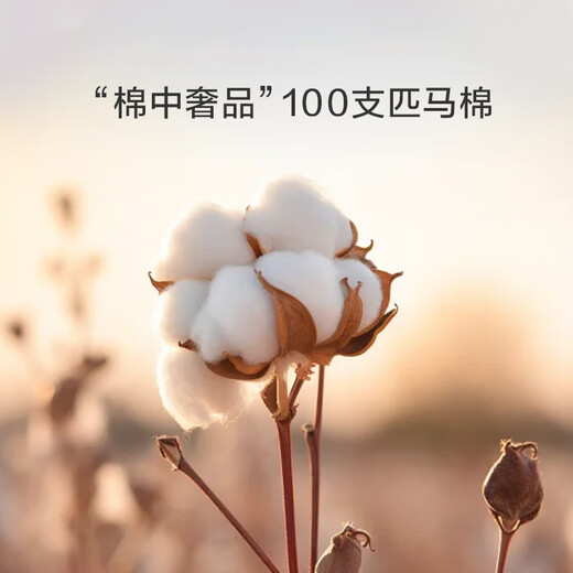 Luolai Home Textiles 100-count pure cotton bed four-piece set, high-end hotel style Pima cotton pure cotton spring and summer bedding, gift box, Pima cotton, Marsala, orange, 100 count, sheet style, 1.8m bed, 220x250cm Luolai Home Textiles 100-count pure cotton bed four-piece set, high-end hotel style Pima cotton pure cotton spring and summer bedding, gift box, Pima cotton, Marsala, orange, 100 count, sheet style, 1.8m bed, 220x250cm