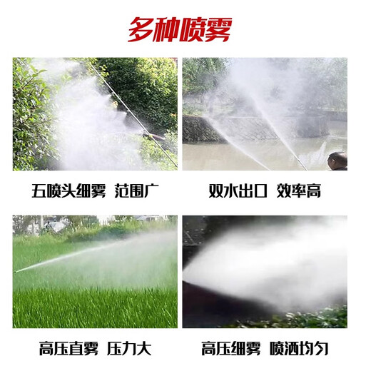 KAILEPU hand push rechargeable sprayer sprayer agricultural disinfection electric machine high pressure sprayer pesticide new fruit tree electric start diesel 300 liters 30 meters + 20 meters + 2 spray guns