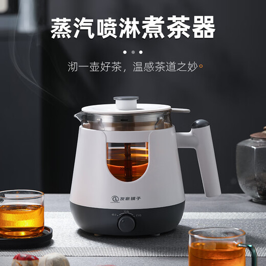 Biooner tea kettle, health kettle, spray type kettle, glass kettle, electric kettle, steaming tea kettle, tea steamer, flower tea kettle, white basic model 0.8L