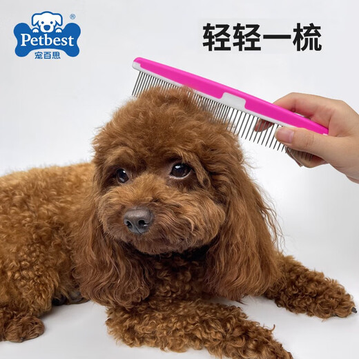 Petbest pet comb, long-haired cat comb, knot comb, cat and dog face comb, dense-tooth straight comb, green straight comb
