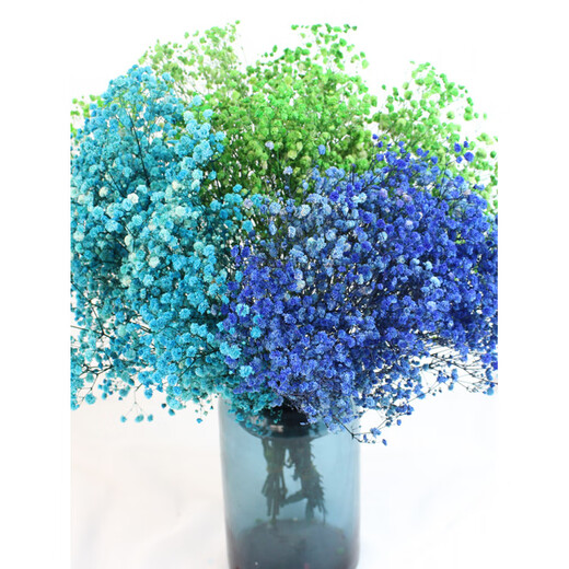 Jatu Dace Festival Dried Flowers Everlasting Gypsophila Real Flowers Home Wedding Decoration Flower Arrangement Window Soft Decoration Landscaping Dream Star Yunnan Straight Everlasting Gypsophila Light Pink About 420g