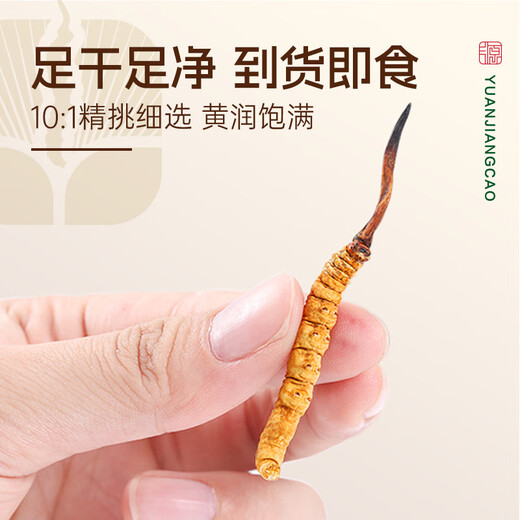 源江草 冬虫夏草4根/g 5克约20根头茬虫草礼盒 送礼滋补品送长辈父母